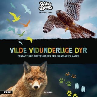 Vilde Vidunderlige Dyr - Fantastiske fortællinger fra Danmarks natur – DR Ramasjang, lydbogens omslag