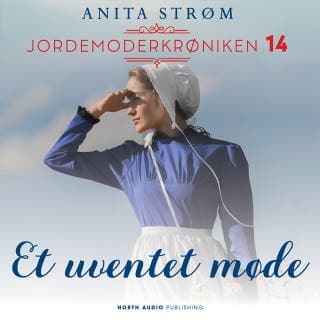 Et uventet møde – Anita Strøm, lydbogens omslag