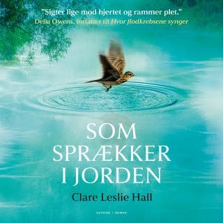 Som sprækker i jorden – Clare Leslie Hall, lydbogens omslag