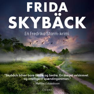Djævleringen – Frida Skybäck, lydbogens omslag