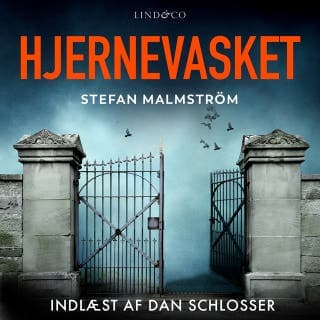 Hjernevasket – Stefan Malmström, lydbogens omslag